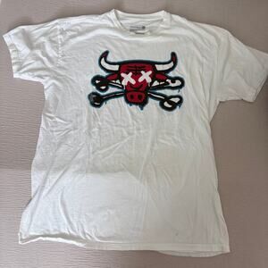 Retro Kings Chicago Bulls inspired skull crossbones graphic tee  Streetwear Y2K